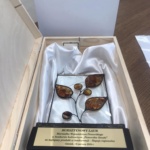 Bursztyniwy laur 2024